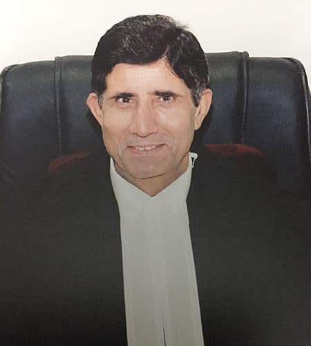 Hon. Justice S.L. Bhayana (Retd.) profile